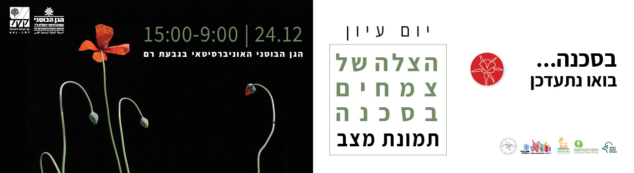 1280_350-לאתר