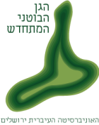 Asset 14